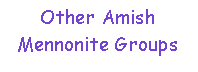 Text Box: Other Amish Mennonite Groups
